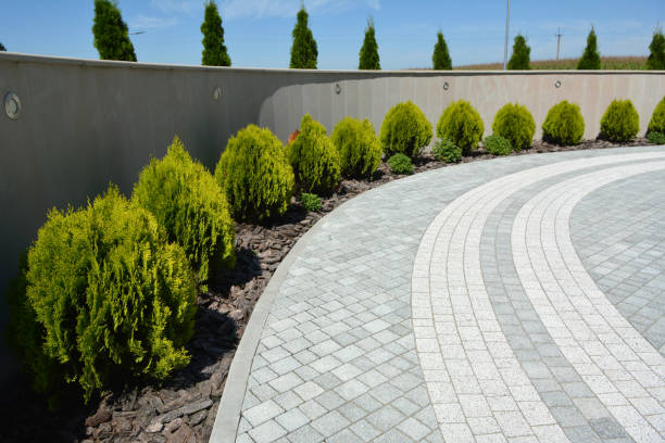 Best Local Driveway Pavers  in Royal Pines, NC